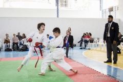 Festival E Torneio De Karate-Do Para Crianças E Exame De FaixasAssociação Shizuoka Goju-Kan Do Brasil