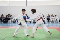 Festival E Torneio De Karate-Do Para Crianças E Exame De FaixasAssociação Shizuoka Goju-Kan Do Brasil