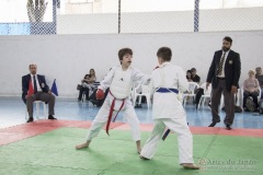 Festival E Torneio De Karate-Do Para Crianças E Exame De FaixasAssociação Shizuoka Goju-Kan Do Brasil