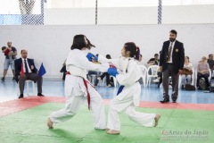 Festival E Torneio De Karate-Do Para Crianças E Exame De FaixasAssociação Shizuoka Goju-Kan Do Brasil