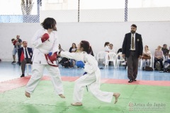 Festival E Torneio De Karate-Do Para Crianças E Exame De FaixasAssociação Shizuoka Goju-Kan Do Brasil