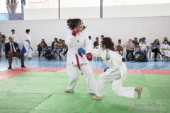 Festival E Torneio De Karate-Do Para Crianças E Exame De FaixasAssociação Shizuoka Goju-Kan Do Brasil