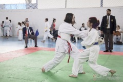 Festival E Torneio De Karate-Do Para Crianças E Exame De FaixasAssociação Shizuoka Goju-Kan Do Brasil