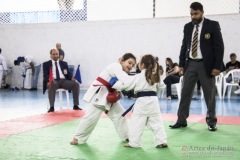 Festival E Torneio De Karate-Do Para Crianças E Exame De FaixasAssociação Shizuoka Goju-Kan Do Brasil