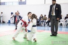 Festival E Torneio De Karate-Do Para Crianças E Exame De FaixasAssociação Shizuoka Goju-Kan Do Brasil