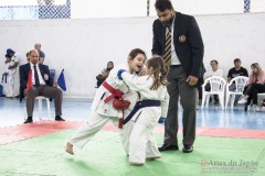 Festival E Torneio De Karate-Do Para Crianças E Exame De FaixasAssociação Shizuoka Goju-Kan Do Brasil