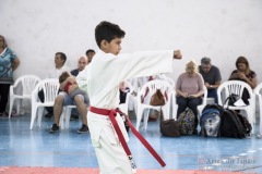 Festival E Torneio De Karate-Do Para Crianças E Exame De FaixasAssociação Shizuoka Goju-Kan Do Brasil