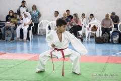 Festival E Torneio De Karate-Do Para Crianças E Exame De FaixasAssociação Shizuoka Goju-Kan Do Brasil