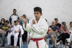 Festival E Torneio De Karate-Do Para Crianças E Exame De FaixasAssociação Shizuoka Goju-Kan Do Brasil