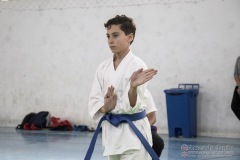 Festival E Torneio De Karate-Do Para Crianças E Exame De FaixasAssociação Shizuoka Goju-Kan Do Brasil