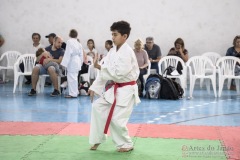 Festival E Torneio De Karate-Do Para Crianças E Exame De FaixasAssociação Shizuoka Goju-Kan Do Brasil