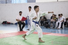 Festival E Torneio De Karate-Do Para Crianças E Exame De FaixasAssociação Shizuoka Goju-Kan Do Brasil