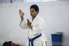 Festival E Torneio De Karate-Do Para Crianças E Exame De FaixasAssociação Shizuoka Goju-Kan Do Brasil