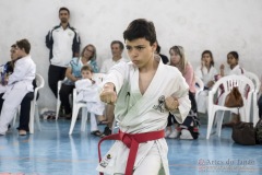 Festival E Torneio De Karate-Do Para Crianças E Exame De FaixasAssociação Shizuoka Goju-Kan Do Brasil