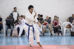 Festival E Torneio De Karate-Do Para Crianças E Exame De FaixasAssociação Shizuoka Goju-Kan Do Brasil