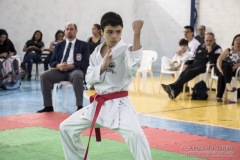 Festival E Torneio De Karate-Do Para Crianças E Exame De FaixasAssociação Shizuoka Goju-Kan Do Brasil