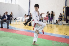 Festival E Torneio De Karate-Do Para Crianças E Exame De FaixasAssociação Shizuoka Goju-Kan Do Brasil