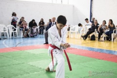 Festival E Torneio De Karate-Do Para Crianças E Exame De FaixasAssociação Shizuoka Goju-Kan Do Brasil