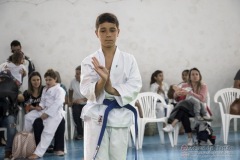 Festival E Torneio De Karate-Do Para Crianças E Exame De FaixasAssociação Shizuoka Goju-Kan Do Brasil