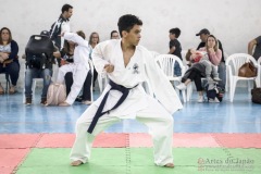 Festival E Torneio De Karate-Do Para Crianças E Exame De FaixasAssociação Shizuoka Goju-Kan Do Brasil