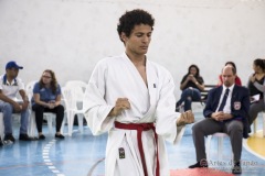 Festival E Torneio De Karate-Do Para Crianças E Exame De FaixasAssociação Shizuoka Goju-Kan Do Brasil