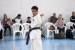 Festival E Torneio De Karate-Do Para Crianças E Exame De FaixasAssociação Shizuoka Goju-Kan Do Brasil