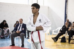 Festival E Torneio De Karate-Do Para Crianças E Exame De FaixasAssociação Shizuoka Goju-Kan Do Brasil