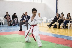 Festival E Torneio De Karate-Do Para Crianças E Exame De FaixasAssociação Shizuoka Goju-Kan Do Brasil