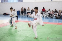 Festival E Torneio De Karate-Do Para Crianças E Exame De FaixasAssociação Shizuoka Goju-Kan Do Brasil