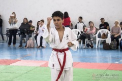 Festival E Torneio De Karate-Do Para Crianças E Exame De FaixasAssociação Shizuoka Goju-Kan Do Brasil