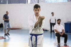 Festival E Torneio De Karate-Do Para Crianças E Exame De FaixasAssociação Shizuoka Goju-Kan Do Brasil