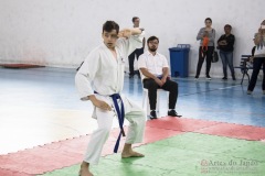 Festival E Torneio De Karate-Do Para Crianças E Exame De FaixasAssociação Shizuoka Goju-Kan Do Brasil