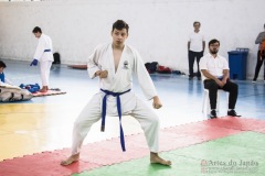 Festival E Torneio De Karate-Do Para Crianças E Exame De FaixasAssociação Shizuoka Goju-Kan Do Brasil