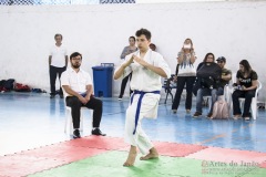 Festival E Torneio De Karate-Do Para Crianças E Exame De FaixasAssociação Shizuoka Goju-Kan Do Brasil