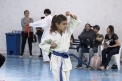 Festival E Torneio De Karate-Do Para Crianças E Exame De FaixasAssociação Shizuoka Goju-Kan Do Brasil