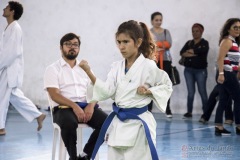 Festival E Torneio De Karate-Do Para Crianças E Exame De FaixasAssociação Shizuoka Goju-Kan Do Brasil