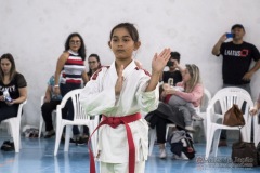 Festival E Torneio De Karate-Do Para Crianças E Exame De FaixasAssociação Shizuoka Goju-Kan Do Brasil