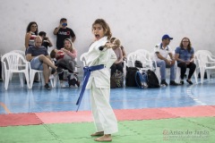 Festival E Torneio De Karate-Do Para Crianças E Exame De FaixasAssociação Shizuoka Goju-Kan Do Brasil