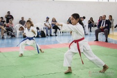 Festival E Torneio De Karate-Do Para Crianças E Exame De FaixasAssociação Shizuoka Goju-Kan Do Brasil