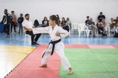 Festival E Torneio De Karate-Do Para Crianças E Exame De FaixasAssociação Shizuoka Goju-Kan Do Brasil