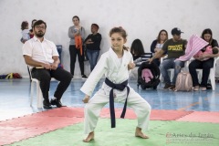 Festival E Torneio De Karate-Do Para Crianças E Exame De FaixasAssociação Shizuoka Goju-Kan Do Brasil