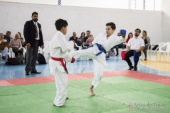 Festival E Torneio De Karate-Do Para Crianças E Exame De FaixasAssociação Shizuoka Goju-Kan Do Brasil