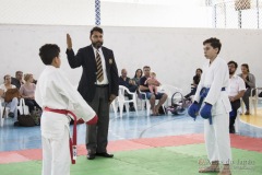 Festival E Torneio De Karate-Do Para Crianças E Exame De FaixasAssociação Shizuoka Goju-Kan Do Brasil