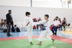 Festival E Torneio De Karate-Do Para Crianças E Exame De FaixasAssociação Shizuoka Goju-Kan Do Brasil