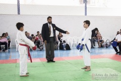 Festival E Torneio De Karate-Do Para Crianças E Exame De FaixasAssociação Shizuoka Goju-Kan Do Brasil