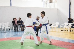 Festival E Torneio De Karate-Do Para Crianças E Exame De FaixasAssociação Shizuoka Goju-Kan Do Brasil