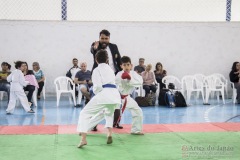 Festival E Torneio De Karate-Do Para Crianças E Exame De FaixasAssociação Shizuoka Goju-Kan Do Brasil