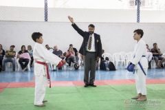 Festival E Torneio De Karate-Do Para Crianças E Exame De FaixasAssociação Shizuoka Goju-Kan Do Brasil