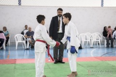 Festival E Torneio De Karate-Do Para Crianças E Exame De FaixasAssociação Shizuoka Goju-Kan Do Brasil