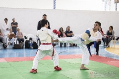 Festival E Torneio De Karate-Do Para Crianças E Exame De FaixasAssociação Shizuoka Goju-Kan Do Brasil